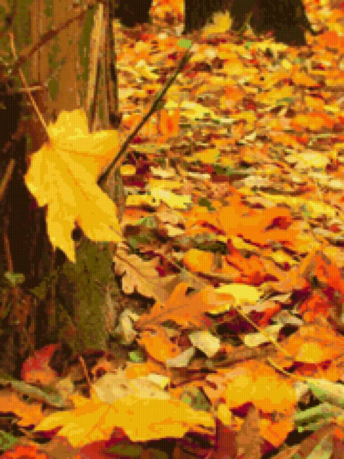 Осенняя пора - листья, природа, осень - предпросмотр