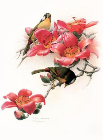 "Ветка сливы" Зенг Ксиао Лиан - цветы, птицы, природа, живопись - оригинал