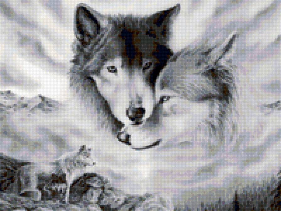 волчья любовь - нежность, животные, волки - предпросмотр