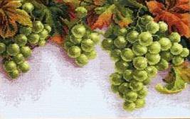 Виноградные гроздья - природа, фрукты - оригинал