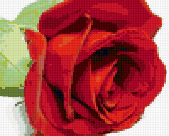 Красная роза - цветок, красная, розочка, цветы, роза - предпросмотр