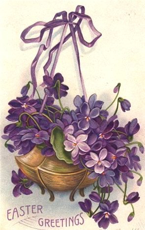 фиалки - цветы, первоцвет, пасха, весна, фиалка, violets, фиалки - оригинал