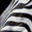 Предпросмотр схемы вышивки «зебра 1» (№2432)
