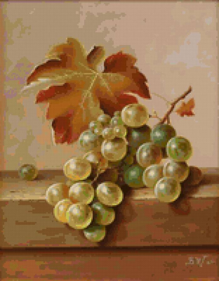 Кисть винограда - натюрморт - предпросмотр