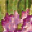 Предпросмотр схемы вышивки «Ирисы и бабочки» (№2577)