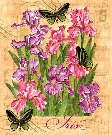 Ирисы и бабочки - весенние цветы, нежные акварели, бабочки, цветы, ирис, ирисы - оригинал