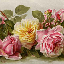 Оригинал схемы вышивки «Розы на столе» (№2584)