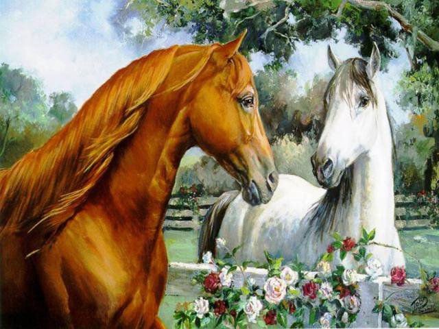 пара лошадей - лошади, лошадь, животные, пара, любовь - оригинал