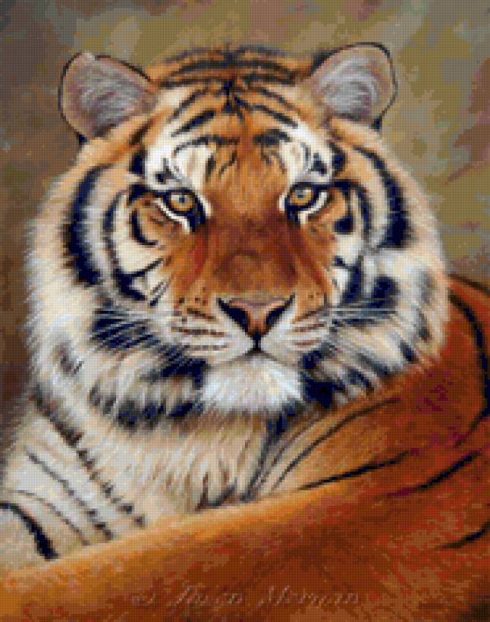 Тигр - животные, кошки - предпросмотр