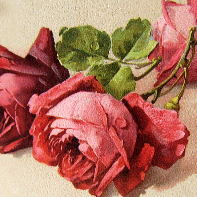 Три розы - цветы - оригинал