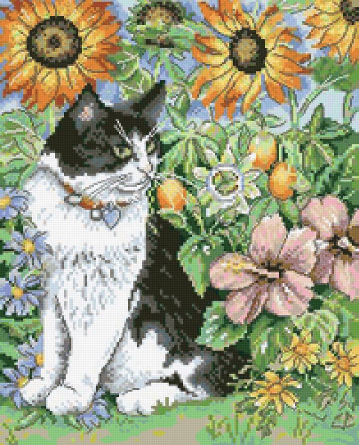 №3038 - подсолнух, животное, цветы, кошка, кот - предпросмотр