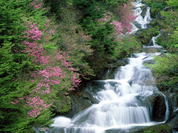 водопад - природа, пейзаж, водопад - оригинал