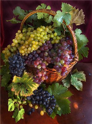 корзина винограда - финоград, фрукты, корзина, натюрморт - оригинал