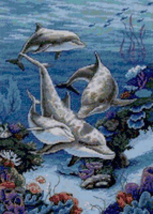 Дельфины - вода, море, дельфин - предпросмотр