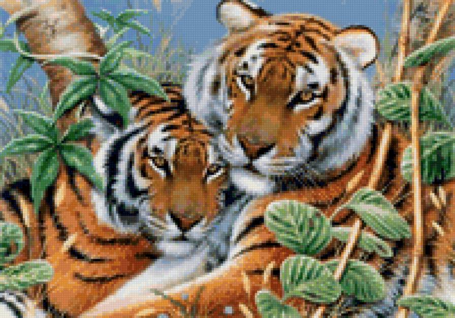 Тигры - живопись, тигры, животные, пейзаж - предпросмотр