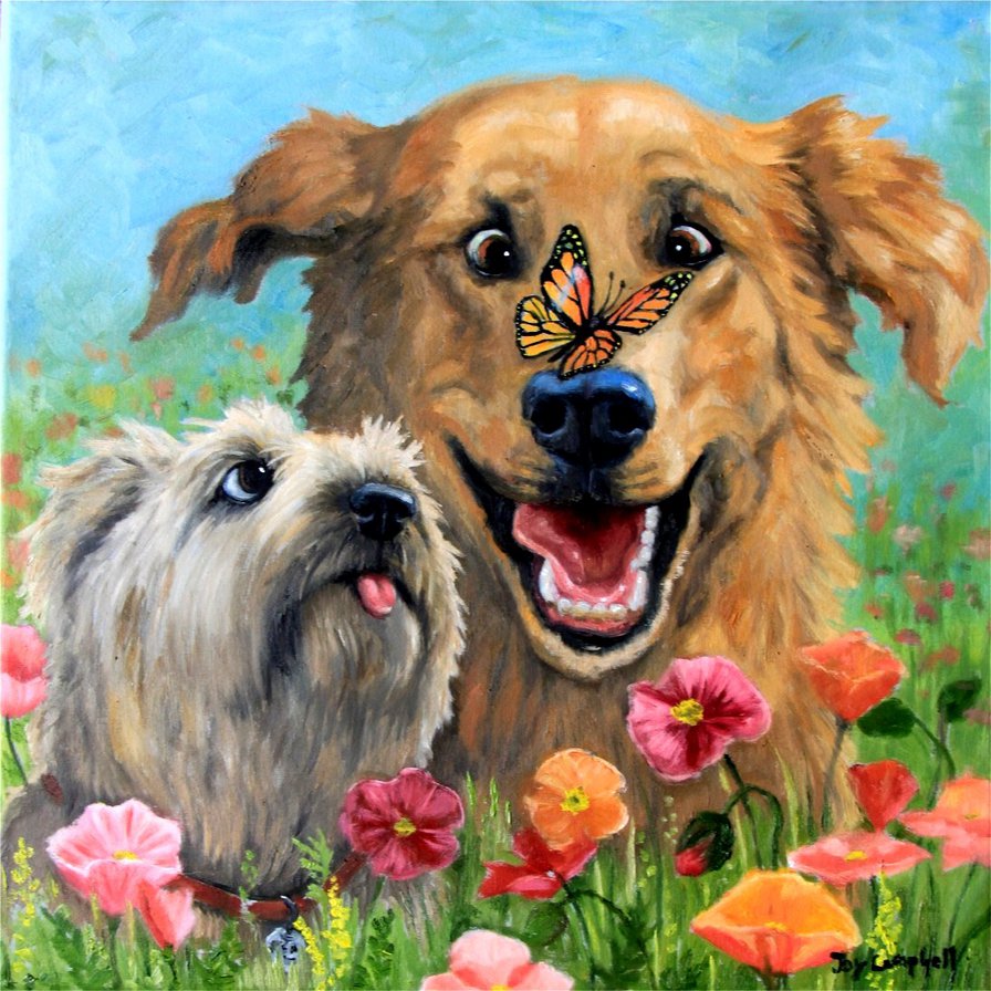Собаки и бабочка - природа, собака, два друга, собачки, бабочка, цветы, собаки - оригинал