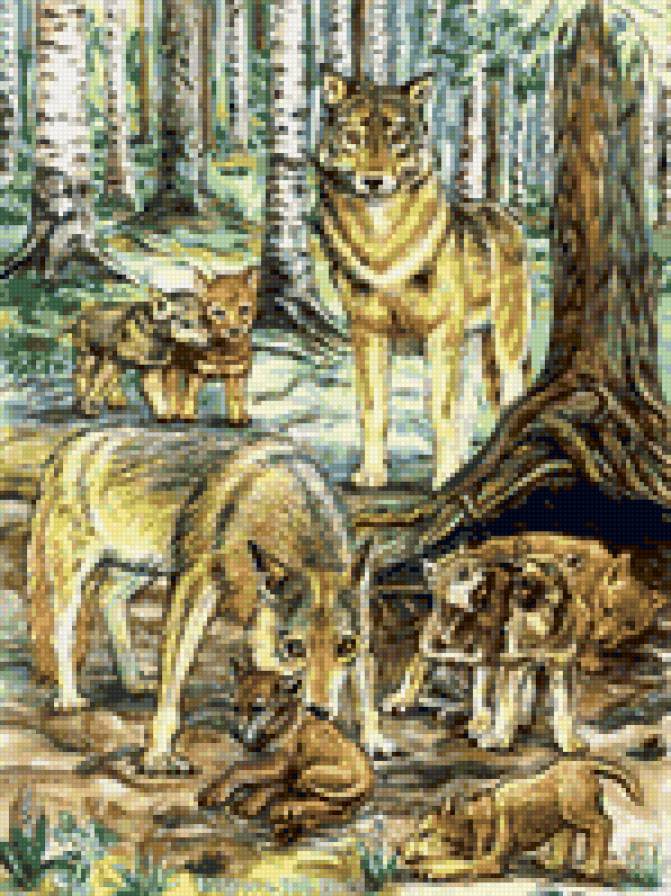 Волчья семья - малыши, звери, семья, волки, рядом с мамочкой, животные, волчата - предпросмотр