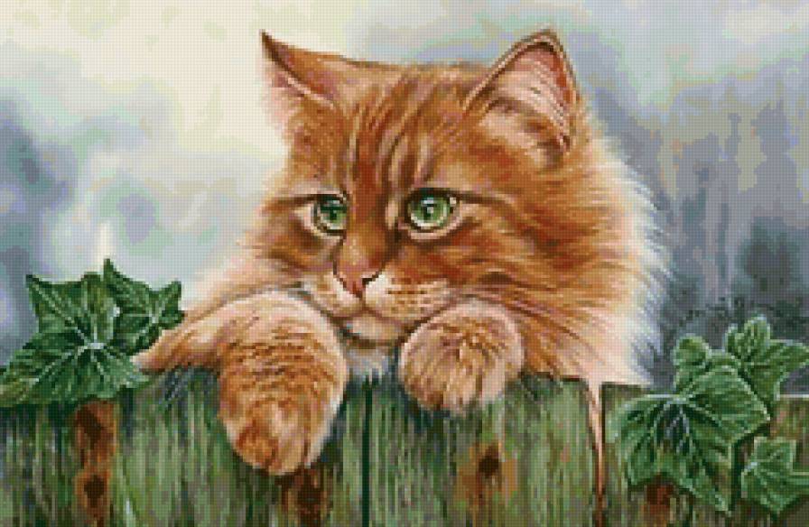 Рыжий кот - живопись, животные, коты - предпросмотр