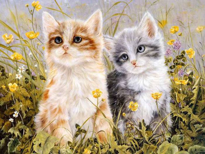 Котята - пара, животные. кошки, разное, рисунок - оригинал