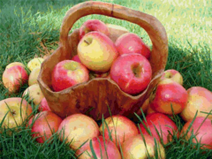 корзина с яблоками - фрукты, яблоки, яблоко - предпросмотр