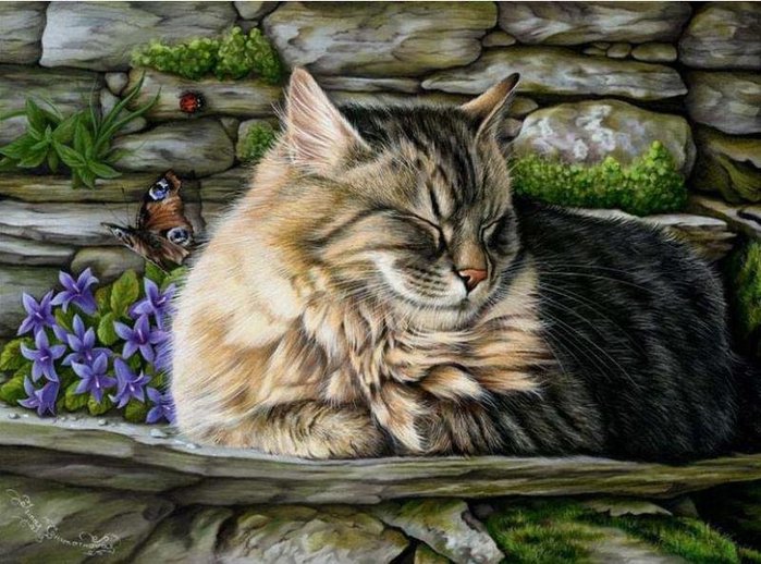 Кошки - картина, кошки, животные, анималисты - оригинал