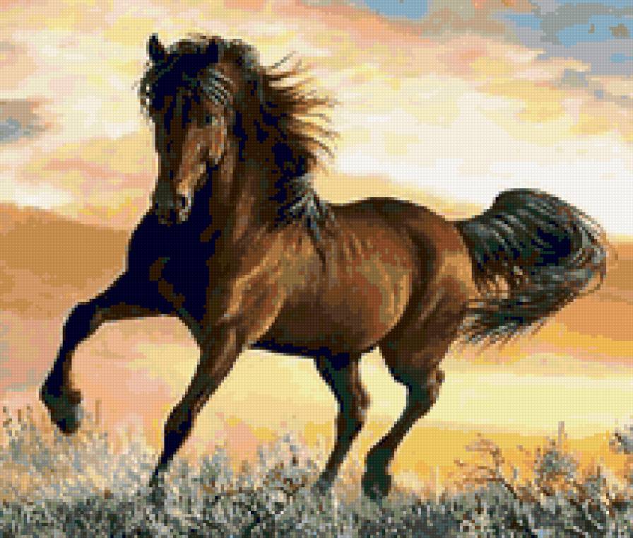 Лошадь - лошадь, животные - предпросмотр