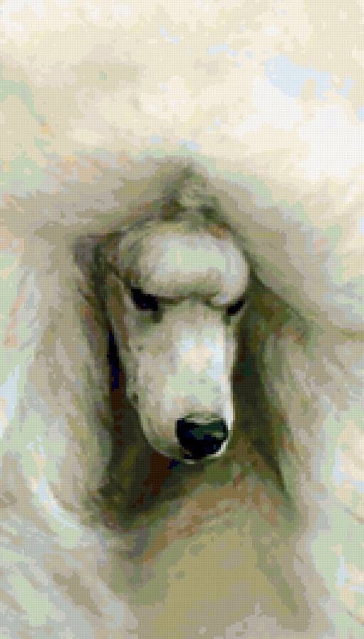 Белый пудель 2 - собака, пудель - предпросмотр