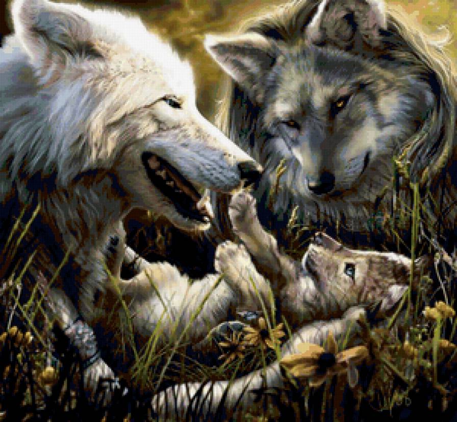 семья - хищники, волк, хищник, волки, семья, любовь, животные - предпросмотр