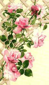 Розы - натюрморт, цветы, розы - оригинал
