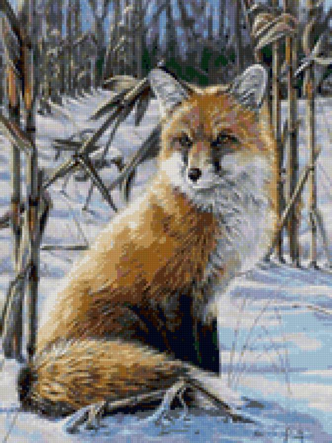 лисичка - зима, животные, снег, лиса, хищник - предпросмотр