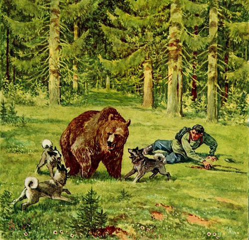 охота на медведя - собака, медведь, охота, животные, лес - оригинал