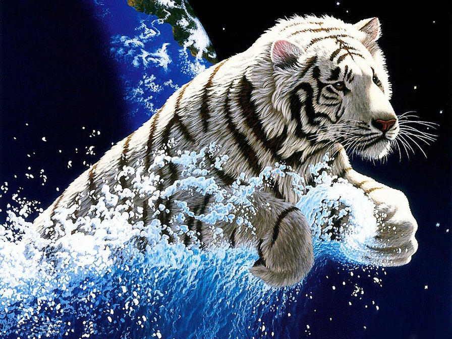 Белый тигр - кошки, животные, вода - оригинал