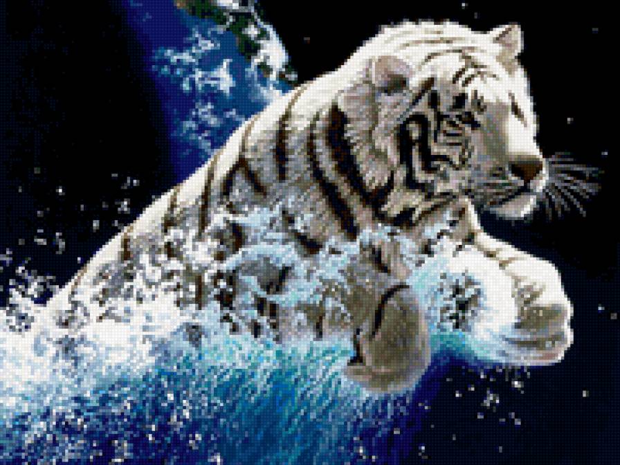 Белый тигр - вода, кошки, животные - предпросмотр