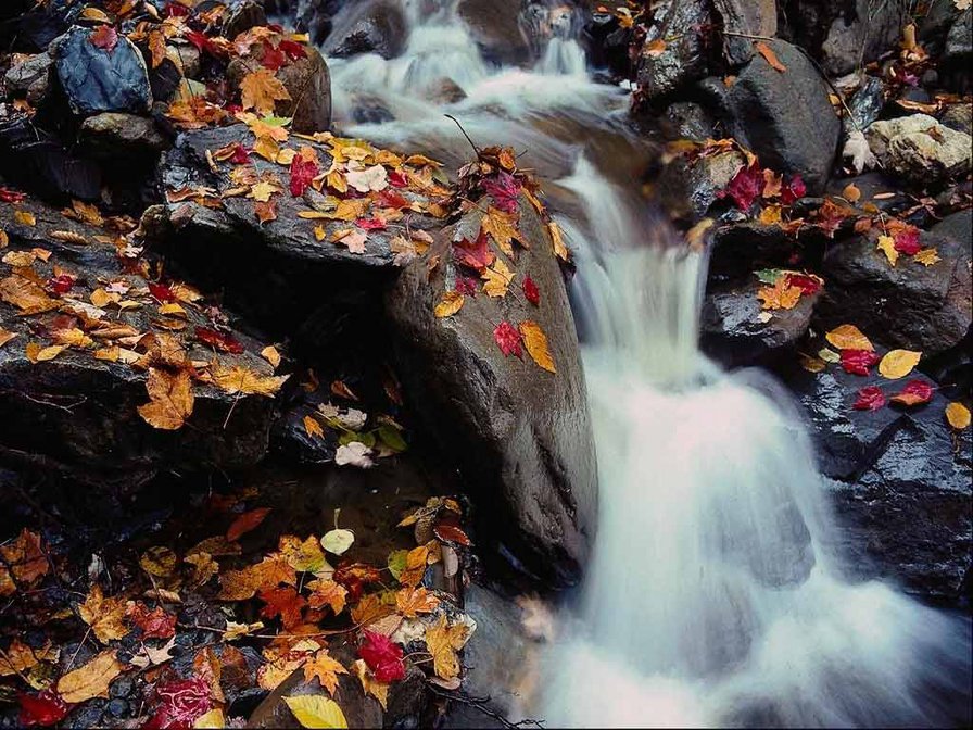 Осенний водопад - оригинал