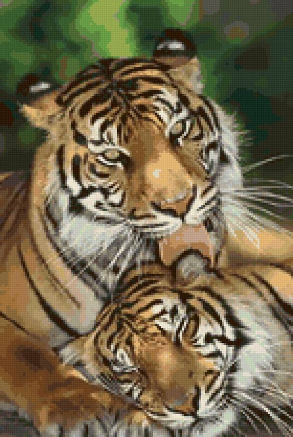 тигры - животные - предпросмотр