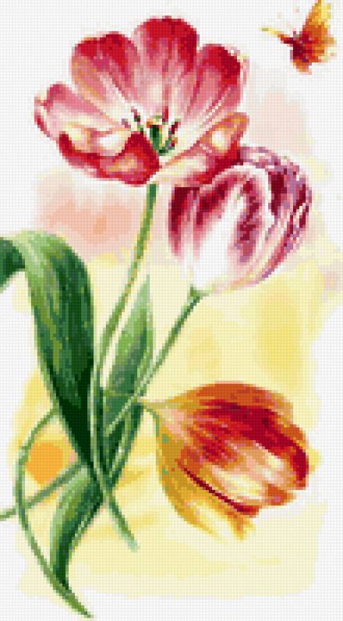Тюльпаны и бабочка - тюльпан, цветы, бабочка, цветы и бабочкикрасота, тюльпаны, букет - предпросмотр