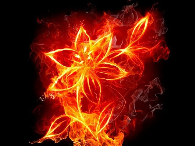 Цветок - огонь, цветок - оригинал