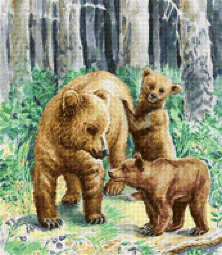 Медведица и медвежата - медведи, рядом с мамочкой, природа, детки, медвежата, медвежонок - предпросмотр