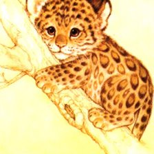 Леопардик