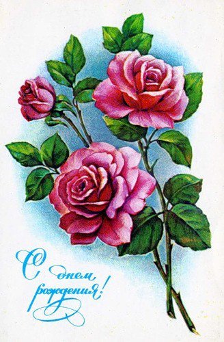 Розы - розы, букет, душистые розы, цветы, цветок, флора, роза - оригинал