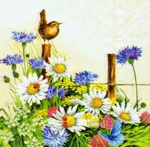 Птичка и цветы - цветы, птичка, васильки, букет, василек, птицы, ромашка, ромашки - оригинал