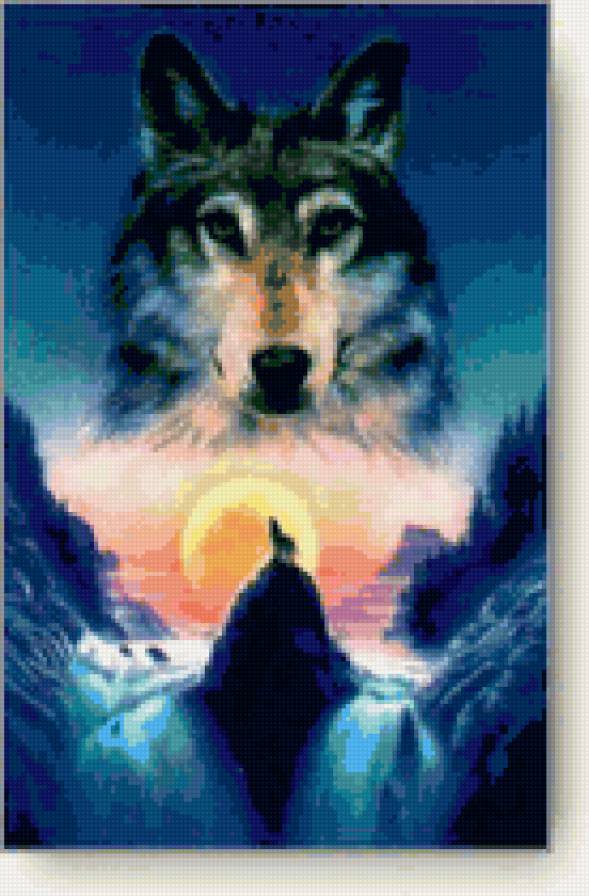 волк - волк, животные, закат - предпросмотр