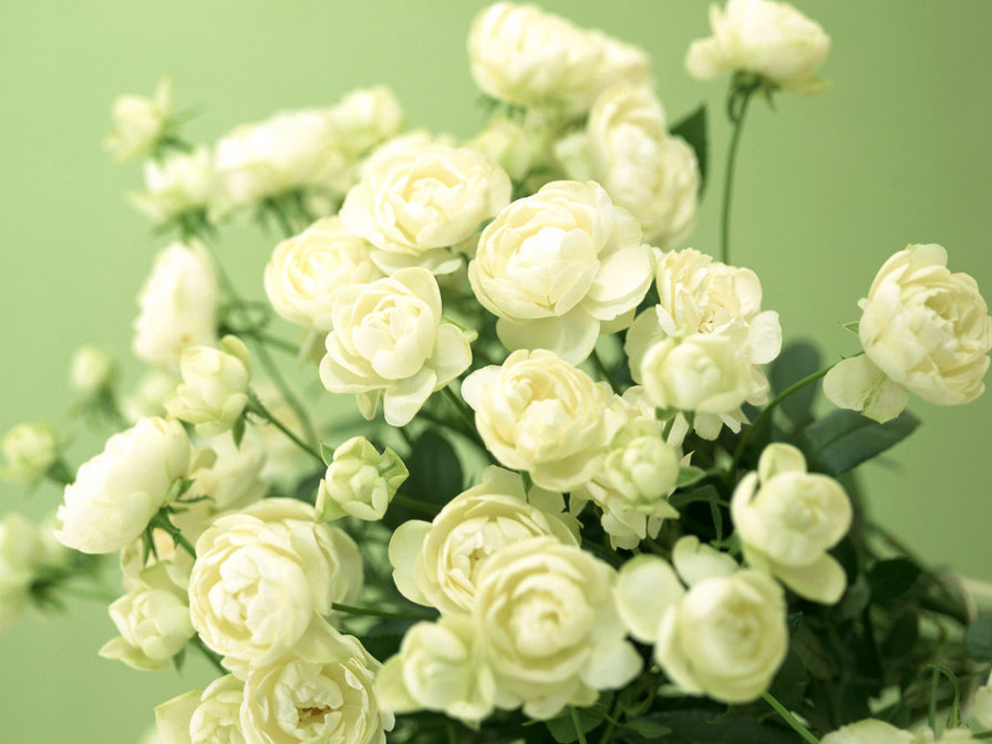 blanc - цветы, белое - оригинал