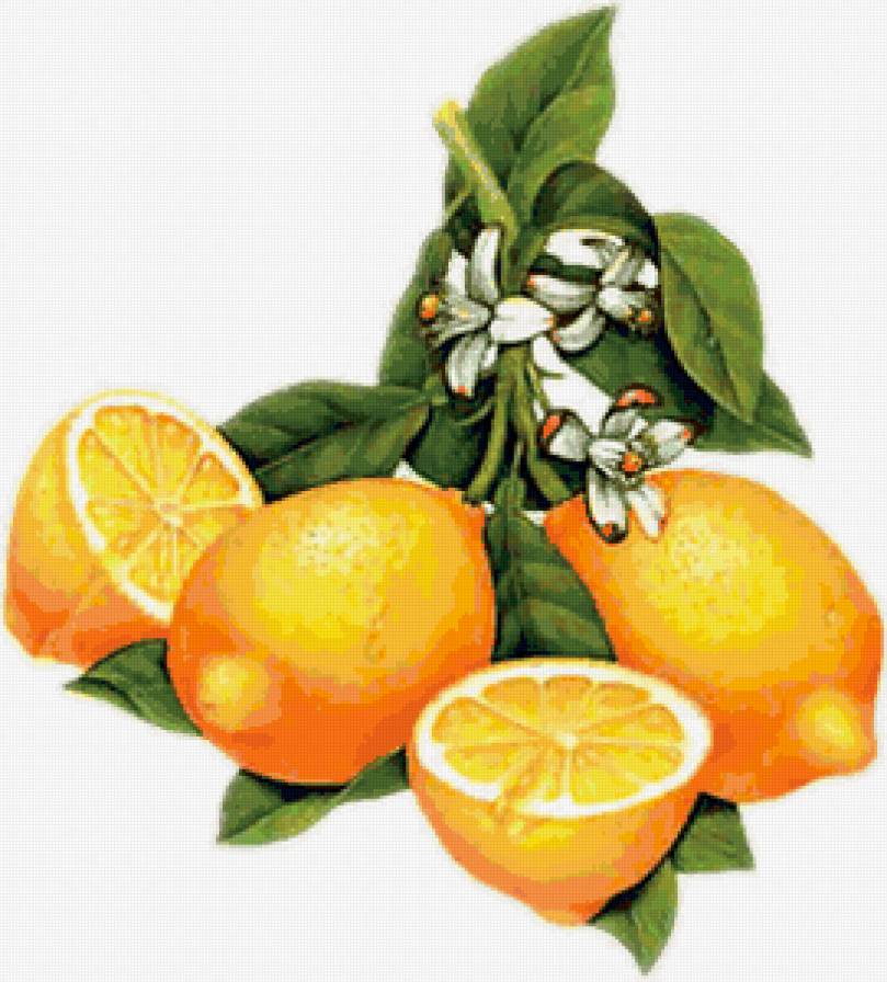Яркие лимончики)) - для кухни, фрукты, лимоны - предпросмотр
