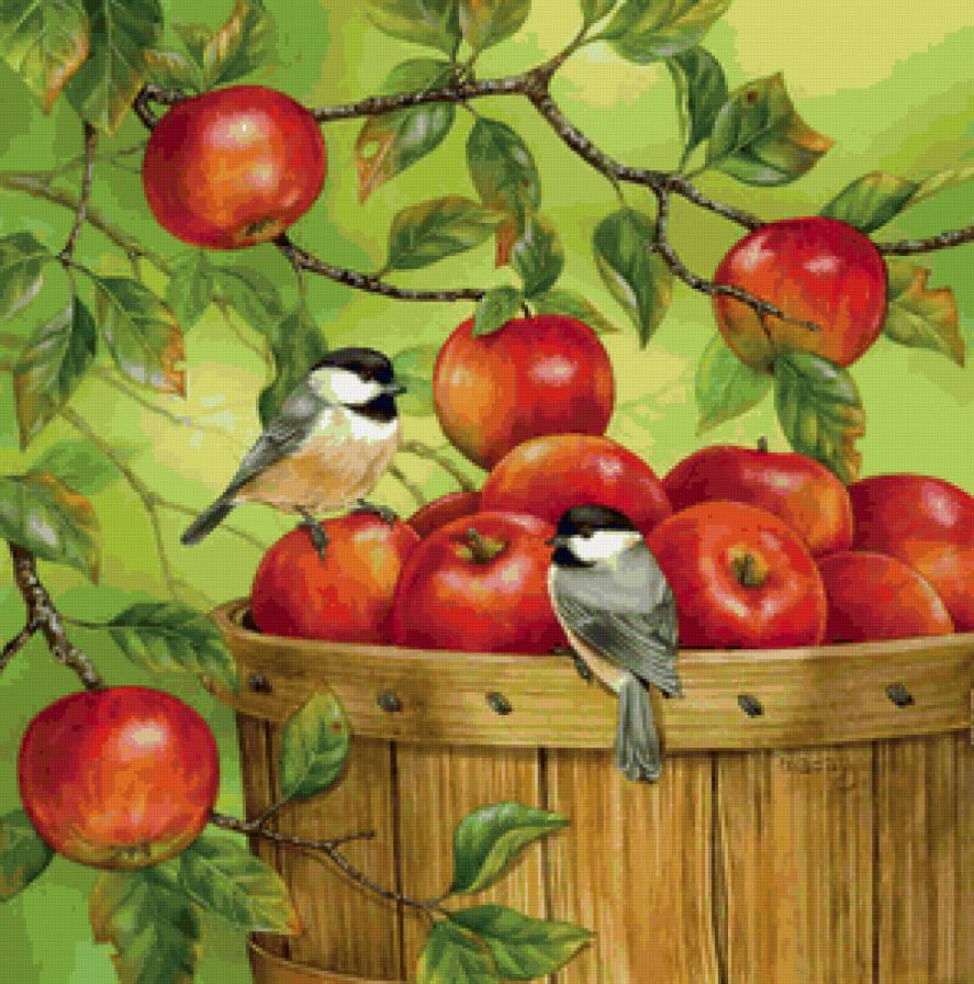 Птички на яблоне)) - птички, животные, яблочки, природа, фрукты - предпросмотр