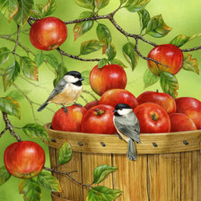 Оригинал схемы вышивки «Птички на яблоне))» (№7526)
