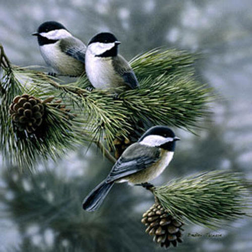 Очень красивые птички)) - птички, животные - оригинал
