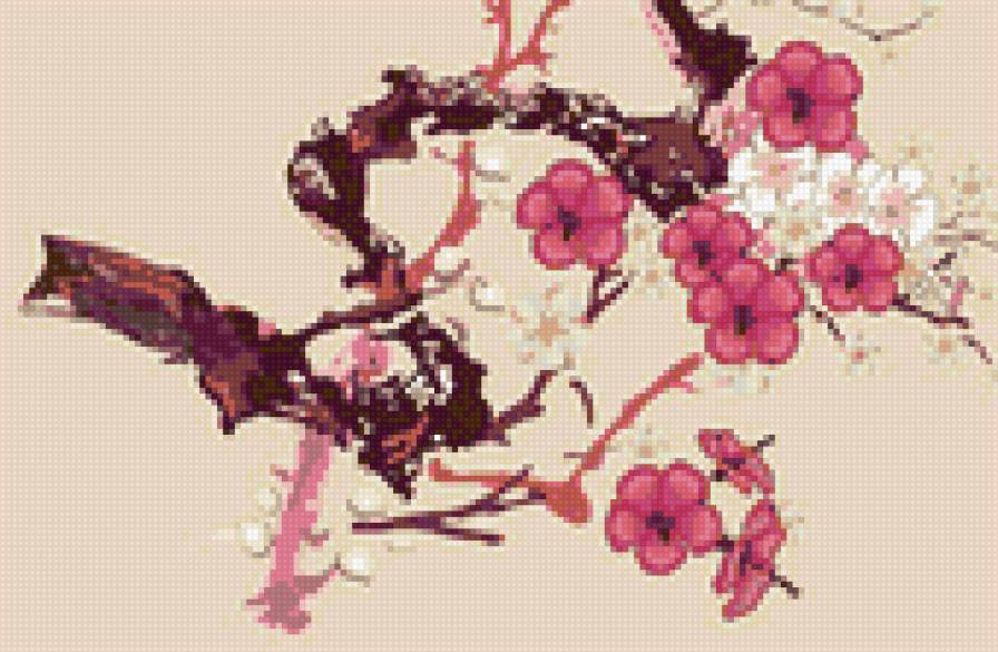 Сакура - сакура, цветы, дерево - предпросмотр
