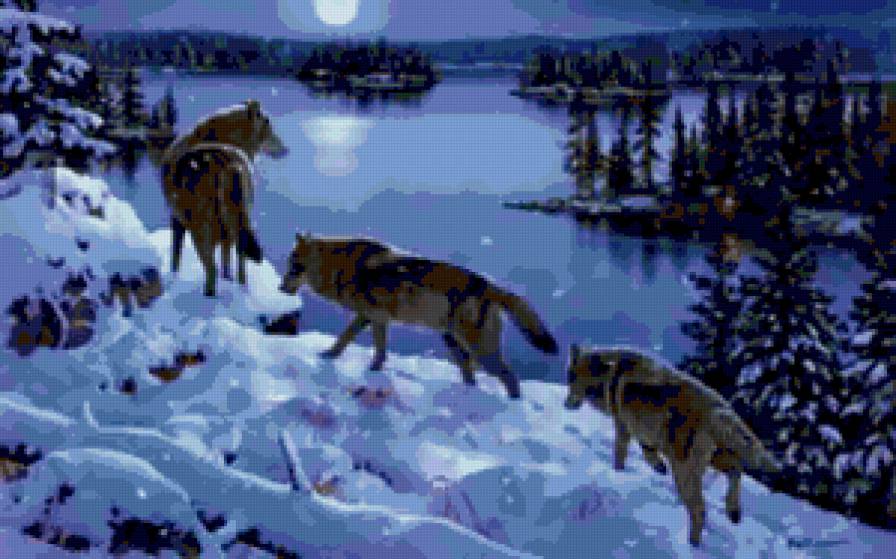 волки - охота, стая, волк, волки, хищники, зима, тропа - предпросмотр