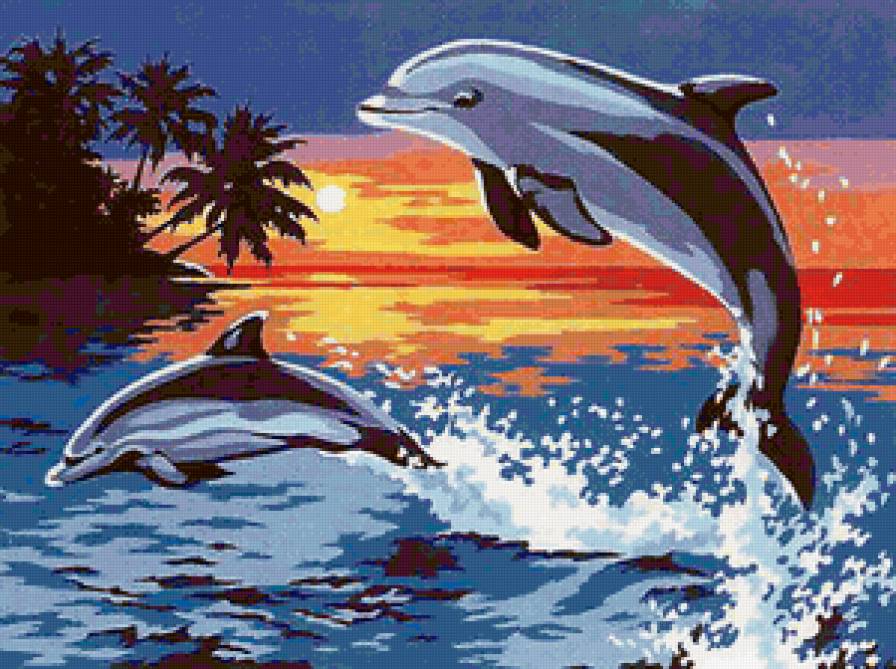 Красивые яркие дельфинчики) - закат, дельфины, море - предпросмотр